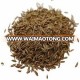 High quality wholesale price Herb & Spices Indian origin Cumin Seeds