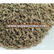 export quality of cumin seeds price