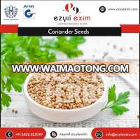 Superior Quality Bulk Organic Coriander Seeds Importers