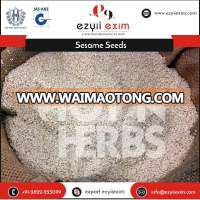 Premium Natural Hulled Sesame Seeds at Factory Price