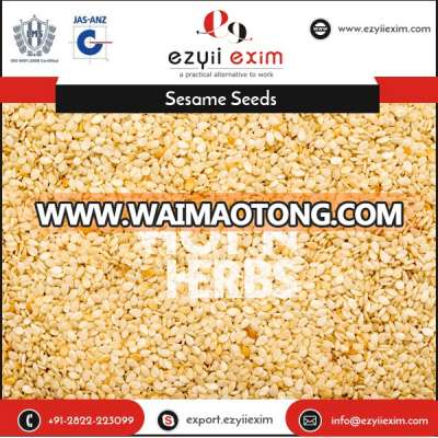 2018 Hot Selling Natural Bulk Hulled Sesame Seeds for Sale