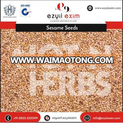 Bulk Sale White Natural Sesame Seeds at Reasonable Price