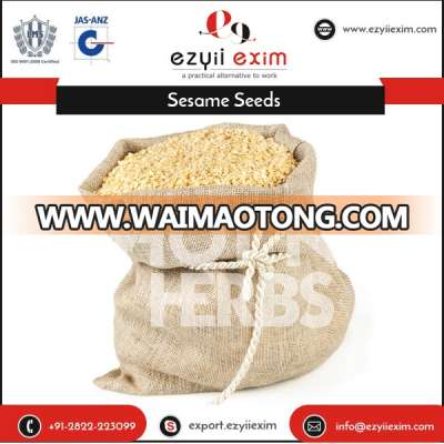 Hygienically Packed Longer Shelf Life Bulk White Sesame Seeds