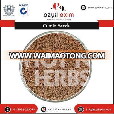 Exclusive Range of Best Quality Organic Black Cumin Seed at Bulk Price