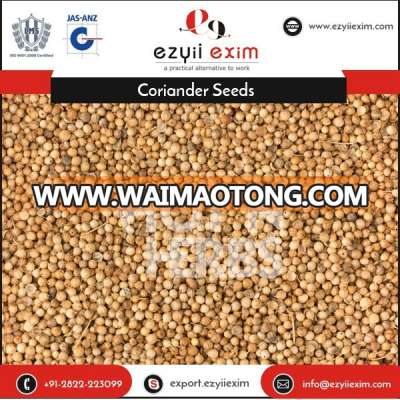 Finest Grade Coriander Seeds at Reliable Market Price