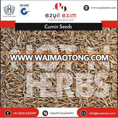 Optimum Quality and Precisely Processed Cumin Seeds for Bulk Importers