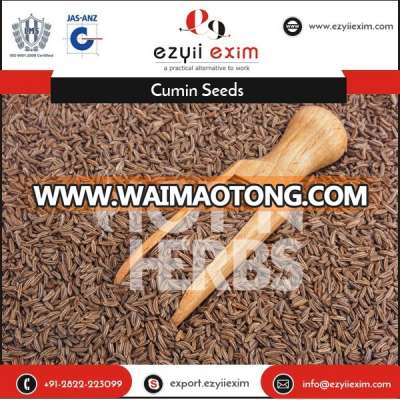 Hot Selling Indian Spice Cumin Seeds at Wholesale Price