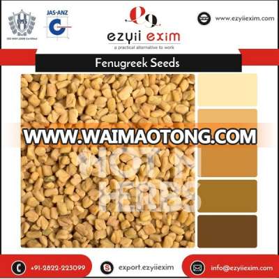 Export Quality Highly Demanded Fenugreek Seeds at Low Price