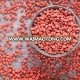 Indian Annato Seeds Good Export Quality